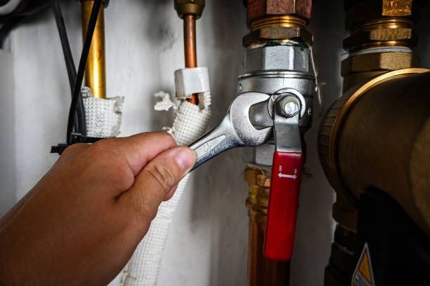 Best Leak Detection Services  in Shirley, NY